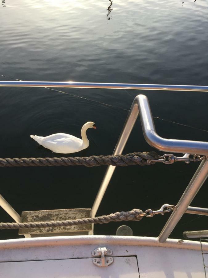 Готель Bateau Eos Страсбург Екстер'єр фото